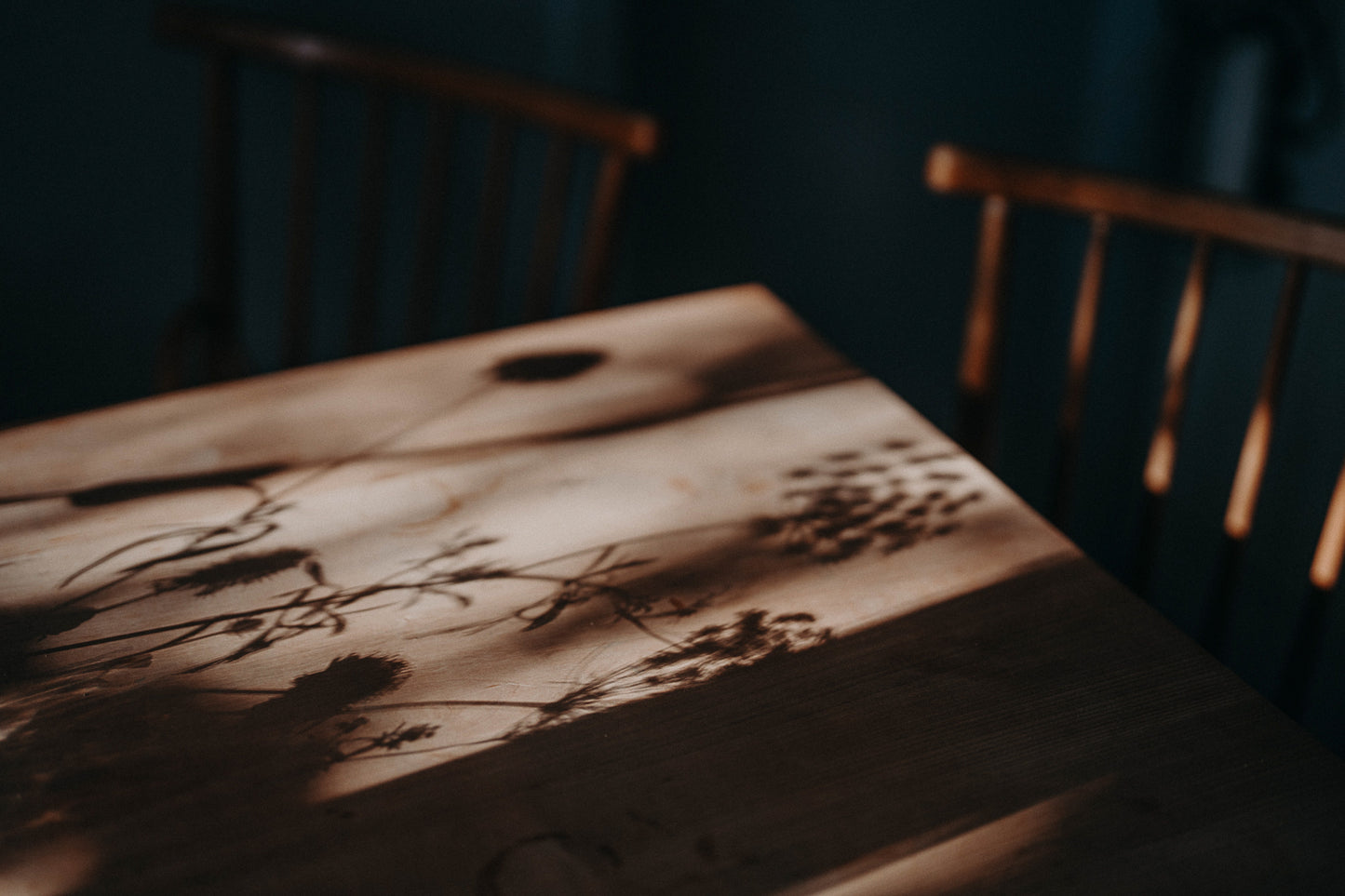 Limited Wildling Edition Set mit 8 Prints Din A5 auf Karton