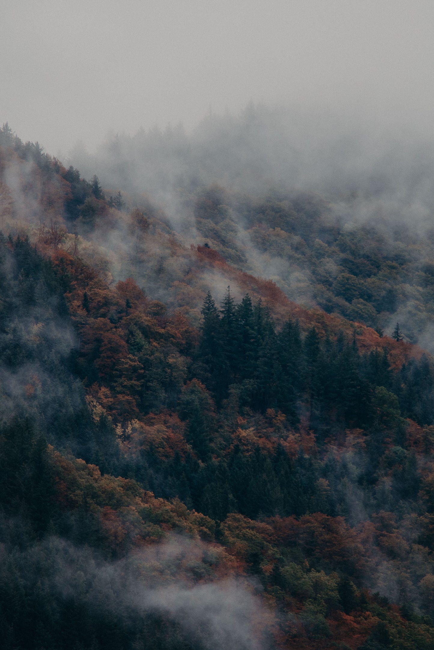 "Kindheit" Limited Set mit 8 Prints Din A5 auf Karton