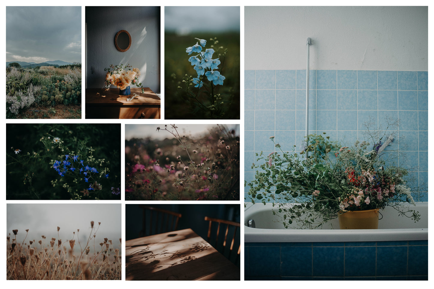 Limited Wildling Edition Set mit 8 Prints Din A5 auf Karton